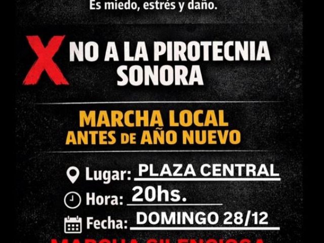 Marchar�n para pedir �pirotecnia cero� en A�o Nuevo